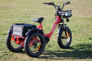 tricycle-electrique